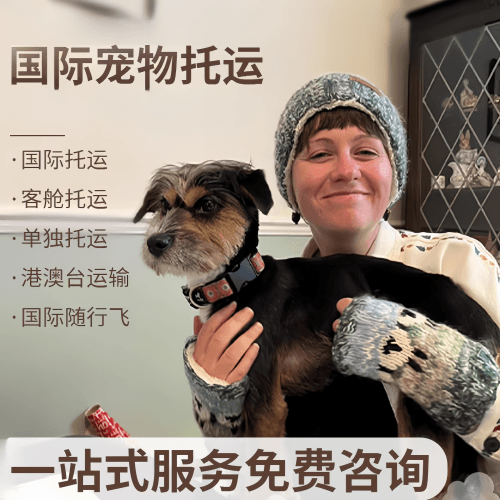 伊春市国际宠物托运到阿根廷宠物入境规定和要