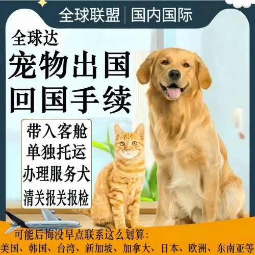 伊春市宠物托运到柬埔寨宠物入境规定和要求