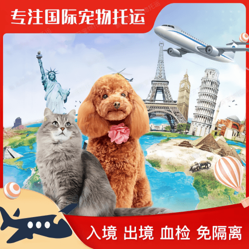 伊春市宠物托运到美国宠物入境最新规定和要求
