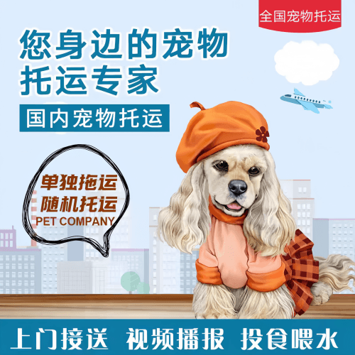 满财伊春市宠物全球达宠物托运作为专业的宠物运输代理机构